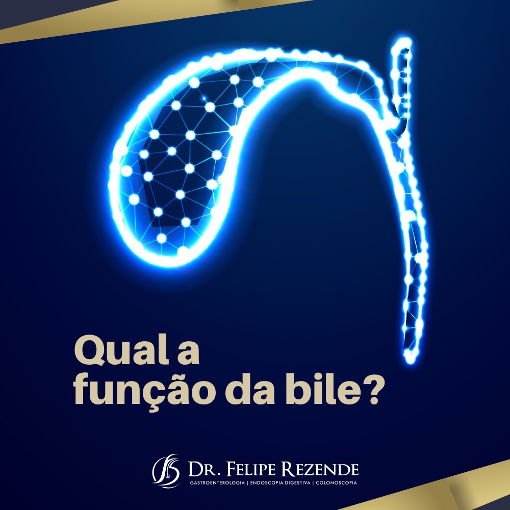 Dr. Felipe Rezende | Blog | Qual a função da bile?